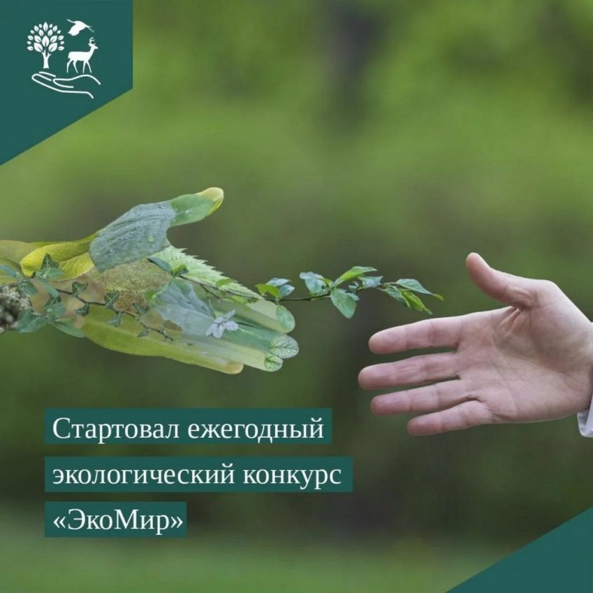 Стартовал Международный экологический конкурс «ЭкоМир-2026» Стартовал Международный экологический конкурс «ЭкоМир-2026»