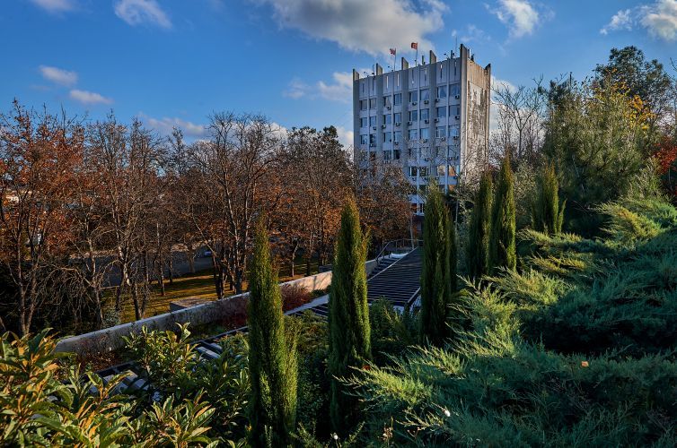 В районе проспекта Острякова защитят территории от точечной застройки В районе проспекта Острякова защитят территории от точечной застройки